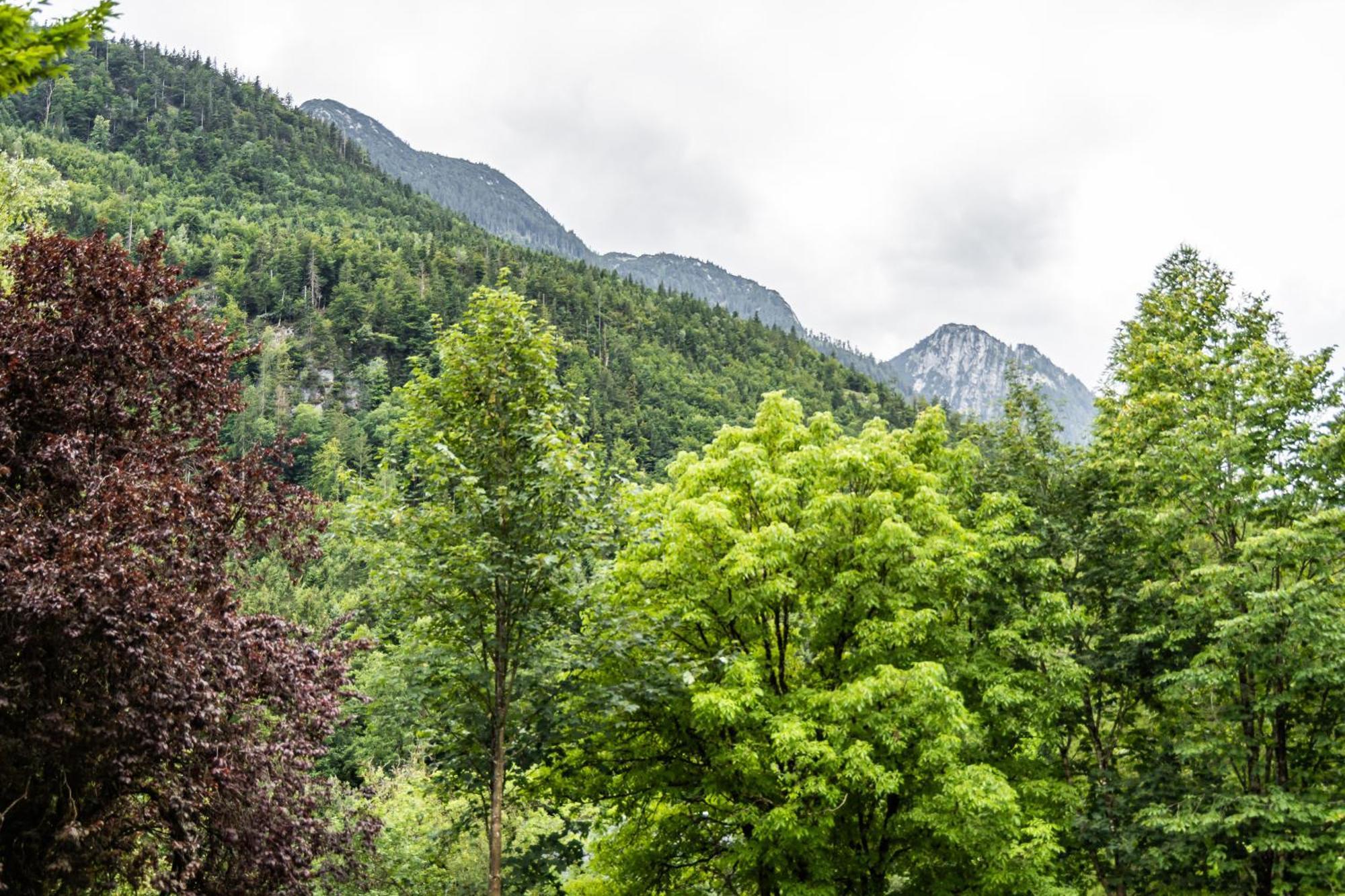 Alpin-Chalet In Alleinlage In Bad Ischl - Wald, Natur, Kamin & Sauna Екстер'єр фото